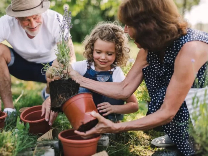 grandparents potting a plant with their granddaughter