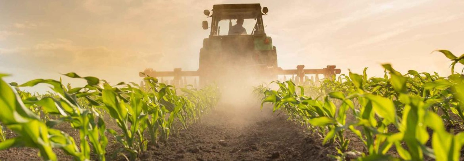 a tractor aggregating crops